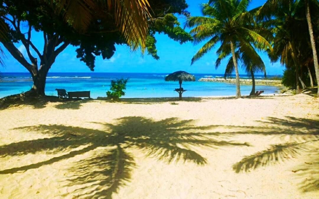 Le Ti'Paradise Belle-Allee Bagian luar foto