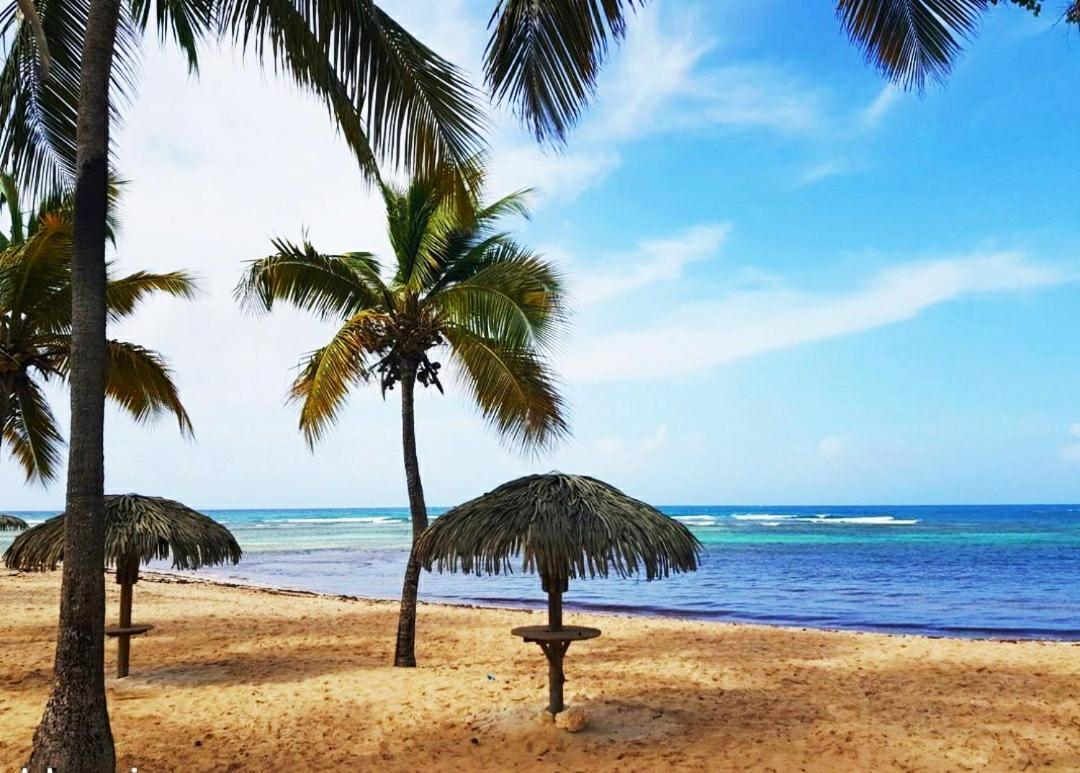 Le Ti'Paradise Belle-Allee Bagian luar foto