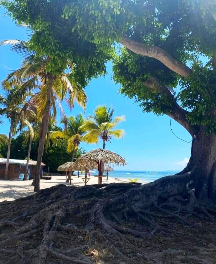 Le Ti'Paradise Belle-Allee Bagian luar foto